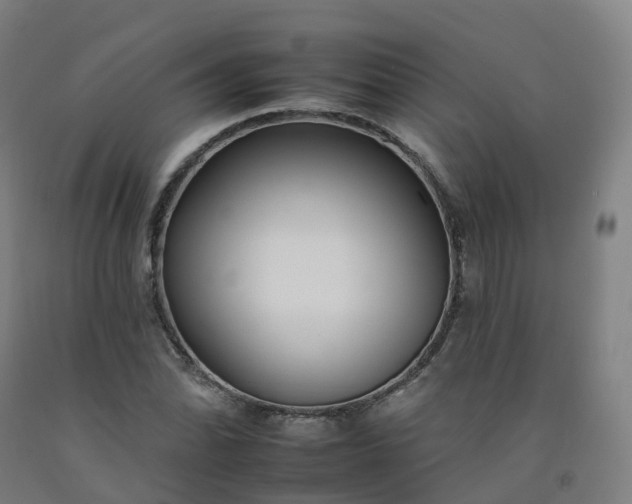 X0000092261070200709281159