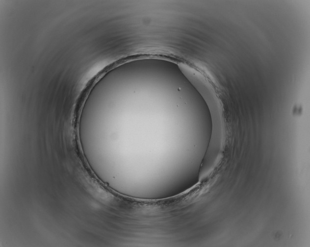 X0000092261071200709281159