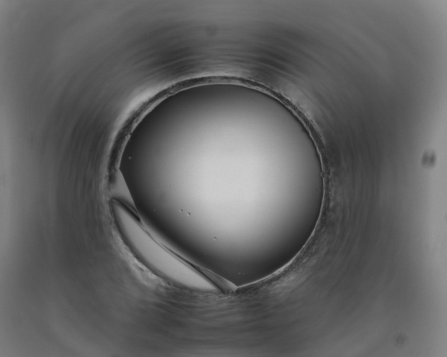 X0000092261072200709281159