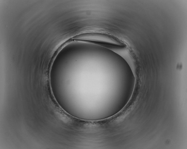 X0000092261073200709281159