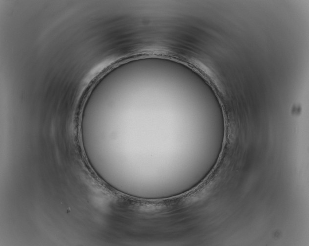 X0000092261074200709281159