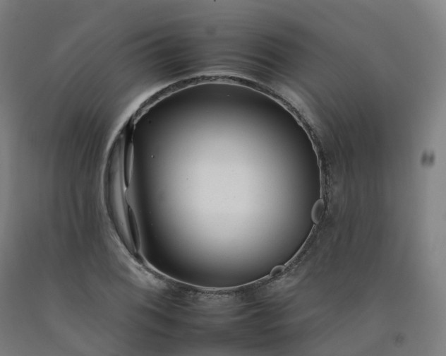 X0000092261076200709281159