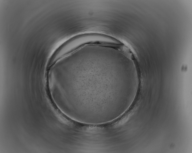 X0000092261077200709281159