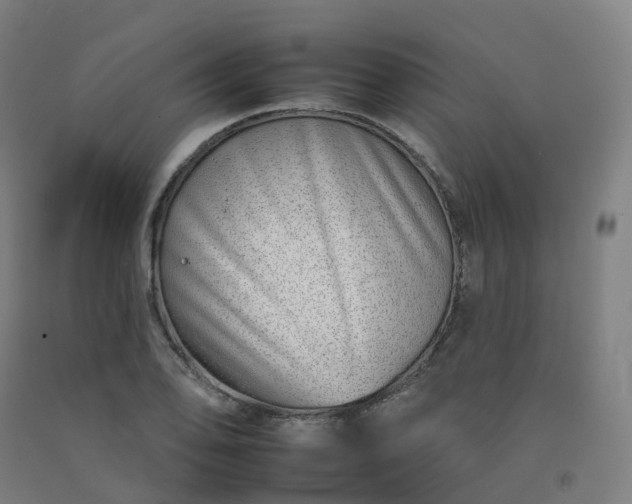 X0000092261078200709281159