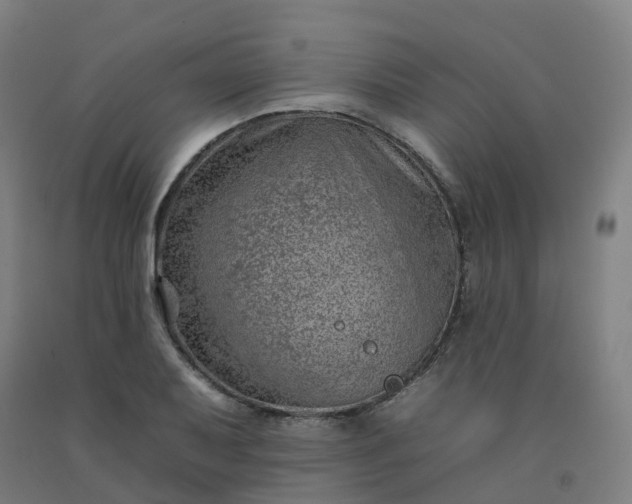 X0000092261079200709281159