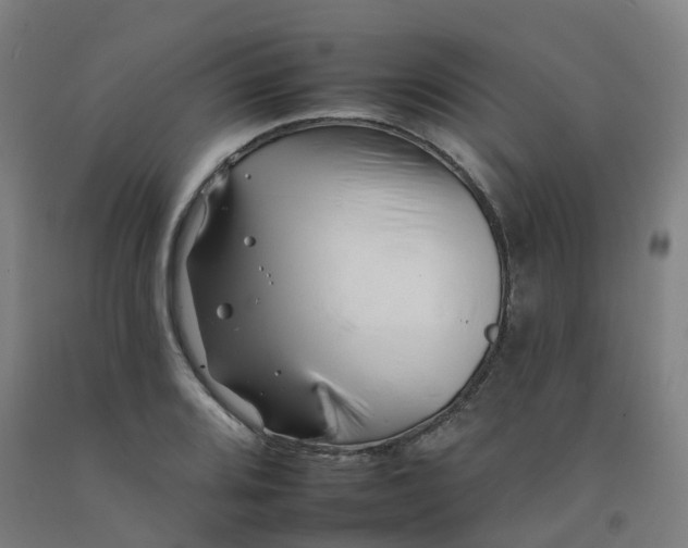 X0000092261080200709281159