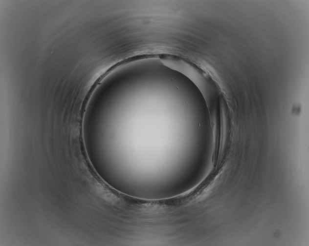 X0000092261081200709281159