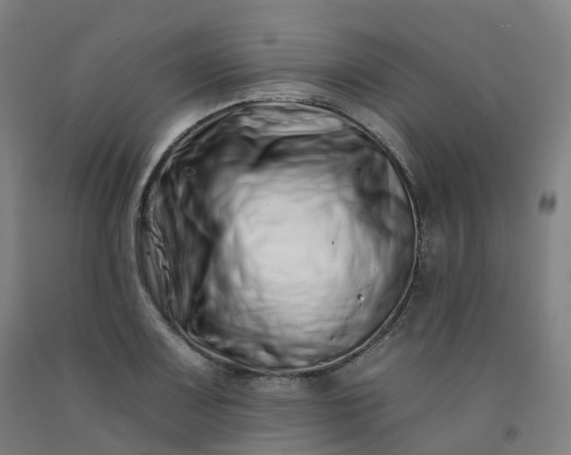 X0000092261083200709281159