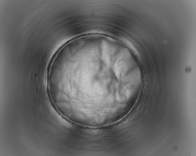 X0000092261084200709281159