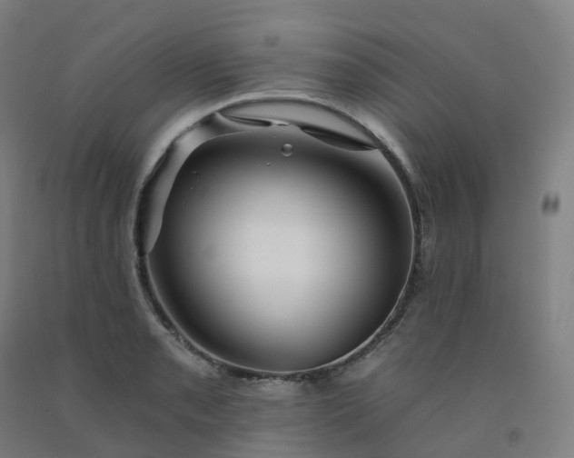 X0000092261085200709281159