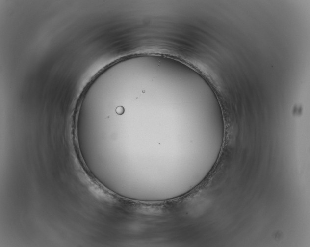 X0000092261086200709281159