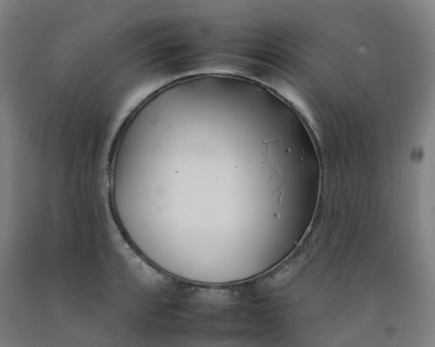 X0000092261088200709281159