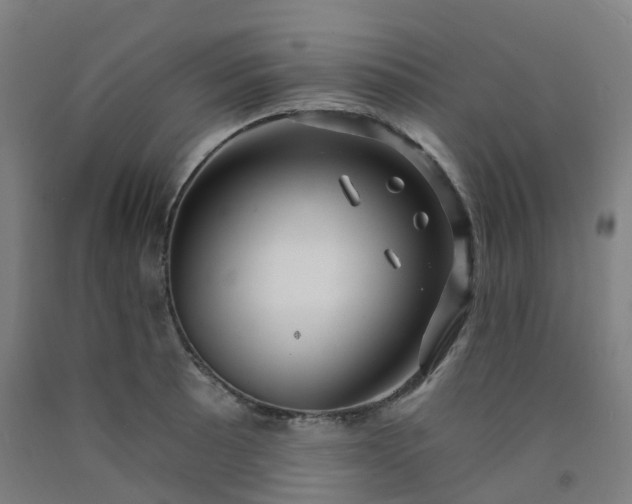 X0000092261089200709281159