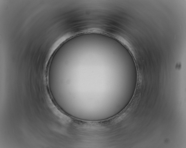 X0000092261090200709281159