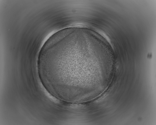 X0000092261091200709281159