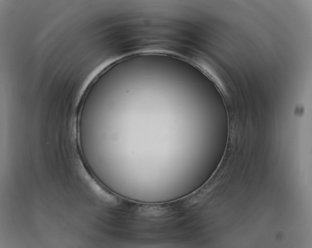 X0000092261092200709281159