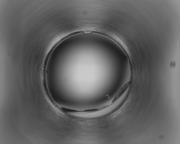 X0000092261093200709281159