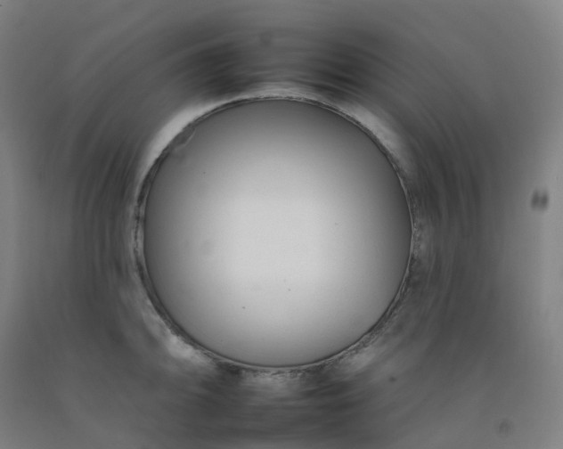 X0000092261094200709281159