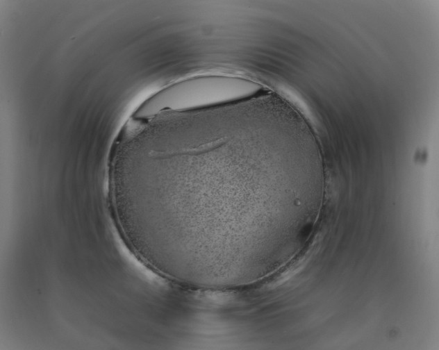 X0000092261095200709281159