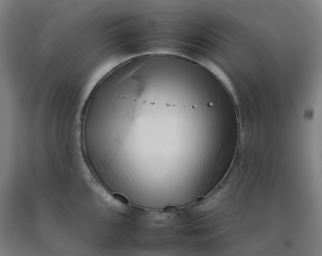 X0000092261096200709281159