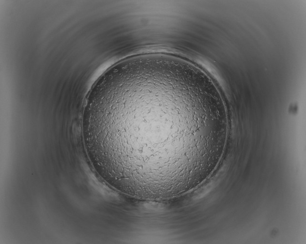 X0000092261097200709281159