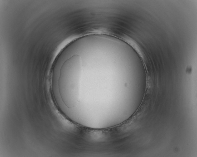 X0000092261098200709281159