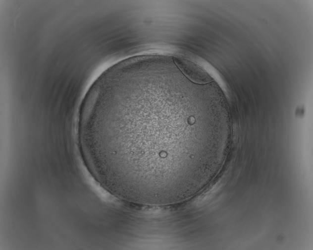 X0000092261099200709281159