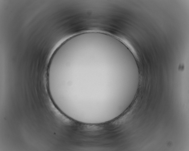 X0000092261100200709281159