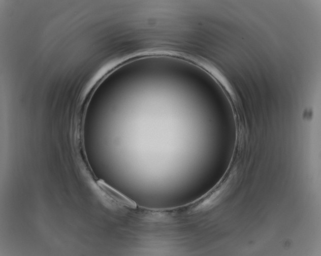 X0000092261101200709281159