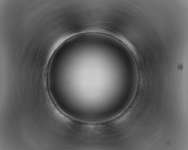 X0000092261102200709281159