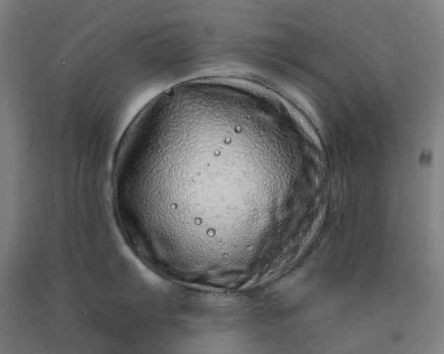 X0000092261103200709281159