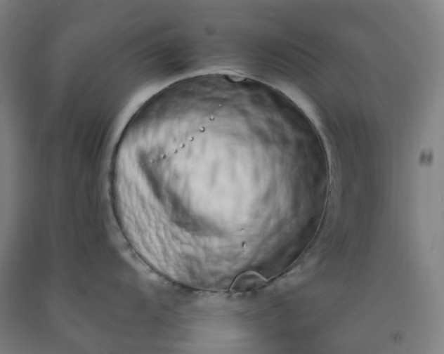 X0000092261104200709281159