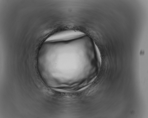 X0000092261105200709281158