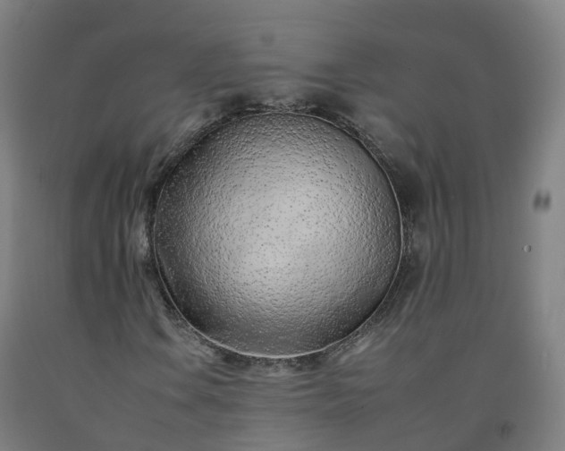 X0000092261106200709281158