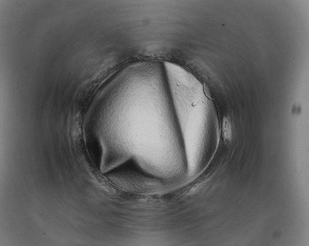 X0000092261107200709281158