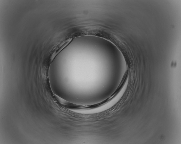 X0000092261108200709281158