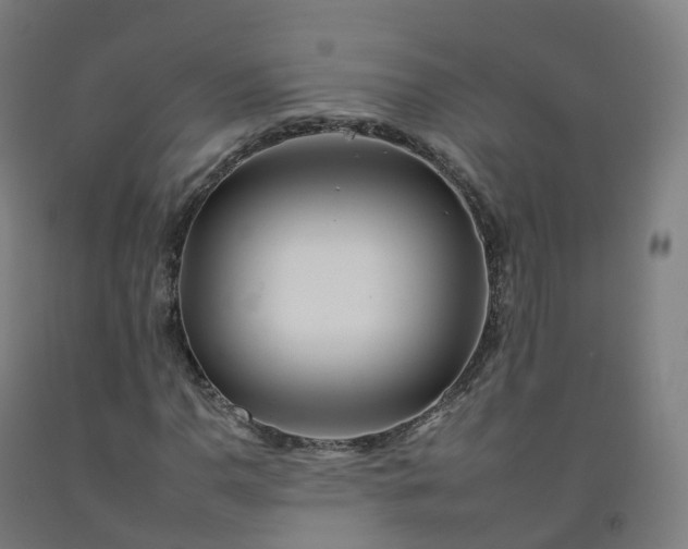 X0000092261110200709281158