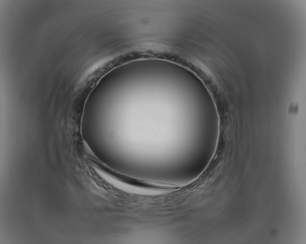 X0000092261112200709281158