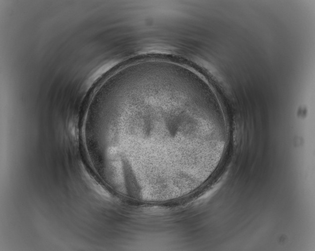 X0000092261113200709281158