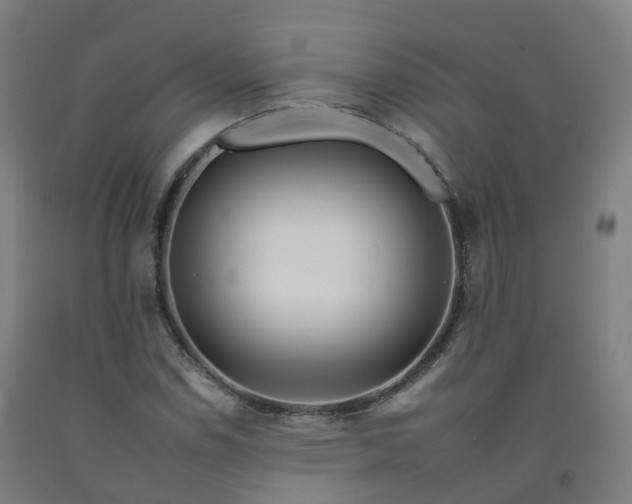 X0000092261114200709281158