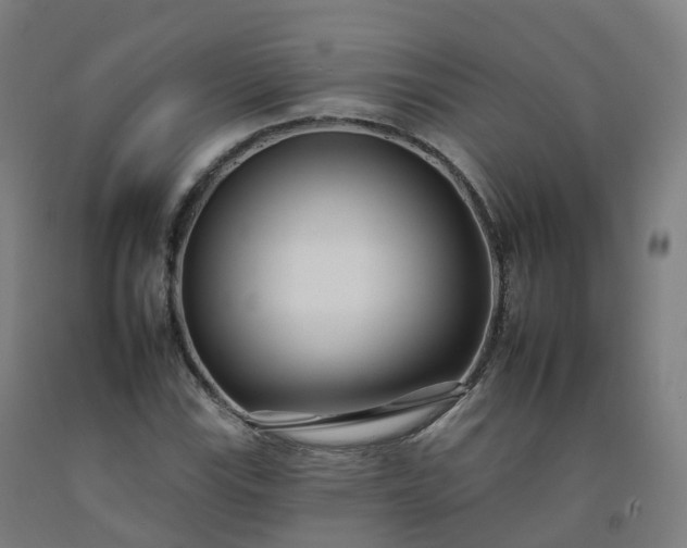 X0000092261115200709281158