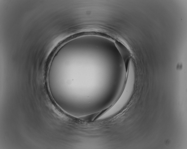 X0000092261116200709281158