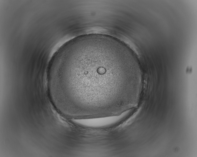 X0000092261117200709281158