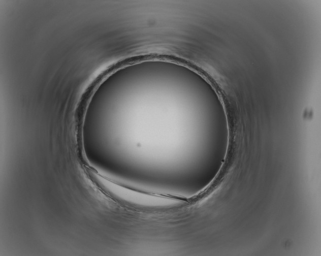 X0000092261118200709281158