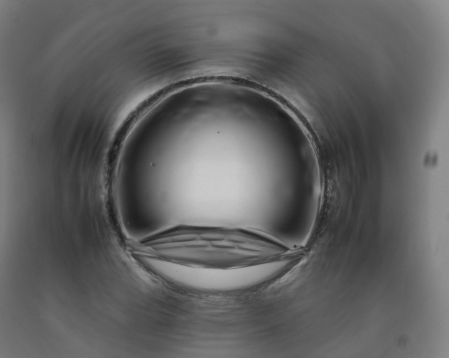 X0000092261119200709281158