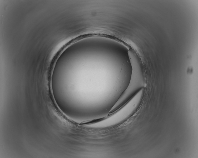 X0000092261120200709281158