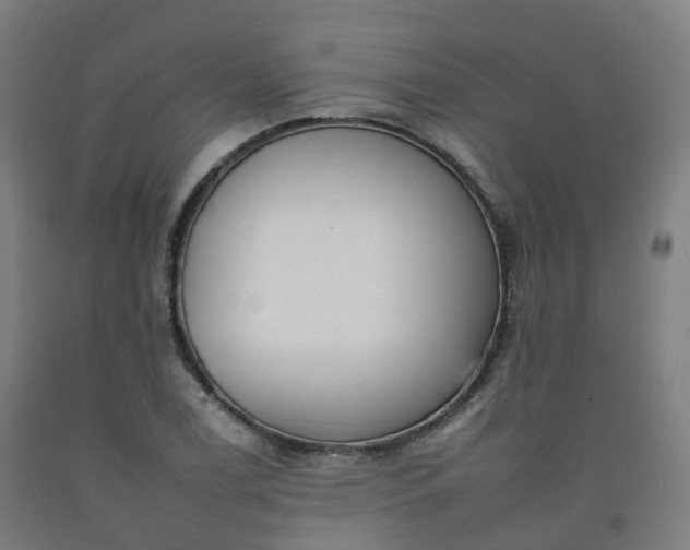 X0000092261122200709281158