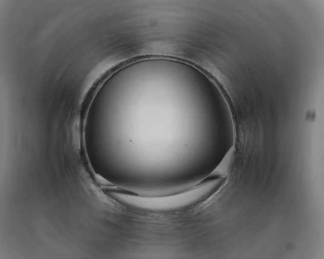 X0000092261123200709281158