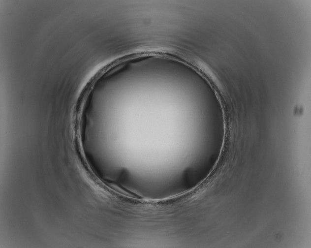 X0000092261124200709281158