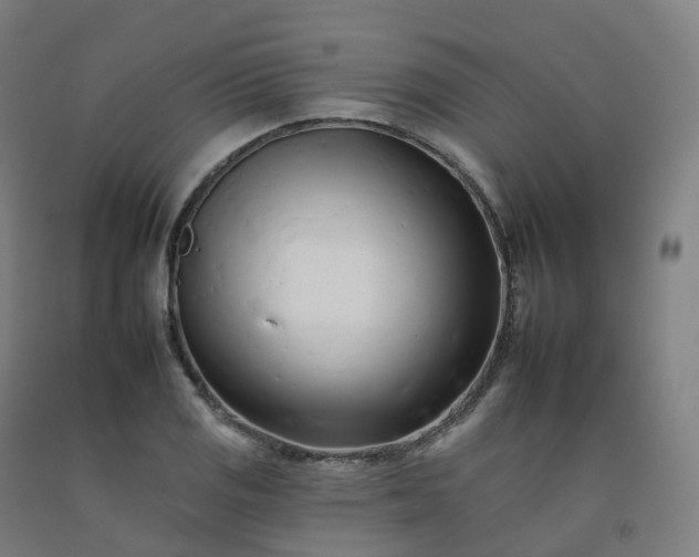 X0000092261125200709281158